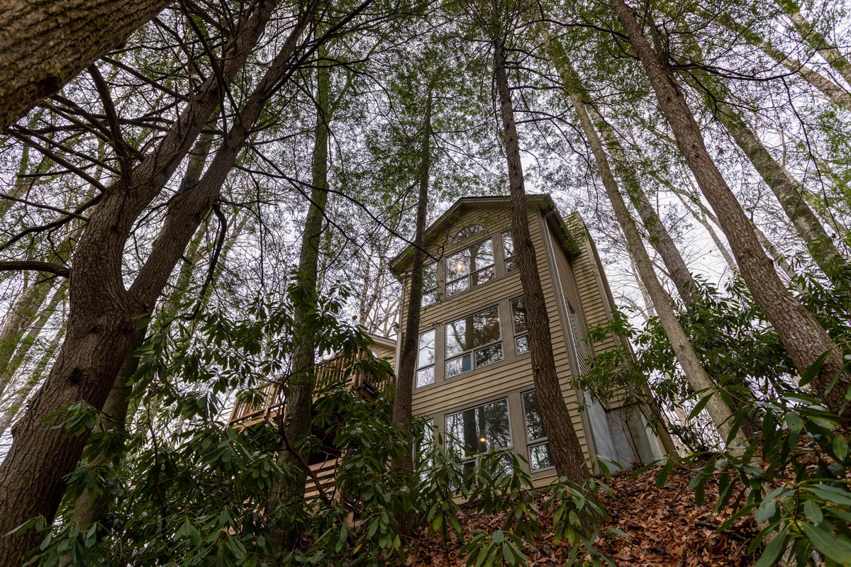 This image features the exterior of the property, framed by tall trees and abundant surrounding foliage. The house's large windows suggest a connection between indoor and outdoor living, while the tranquil setting highlights the beauty of the High Country environment.