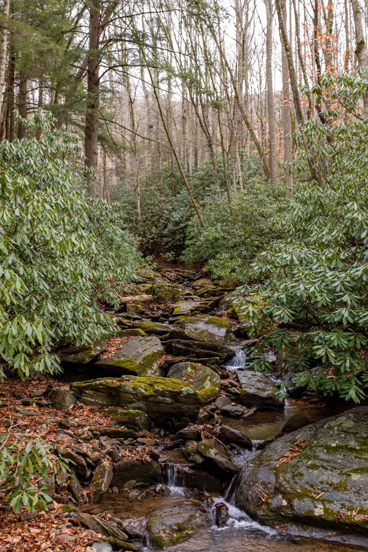 A serene stream winds its way through rocks and lush foliage, offering a peaceful natural backdrop. The area is perfect for nature observation, quiet contemplation, or photography, and showcases the beautiful mountain environment that guests can explore just steps from the inn.