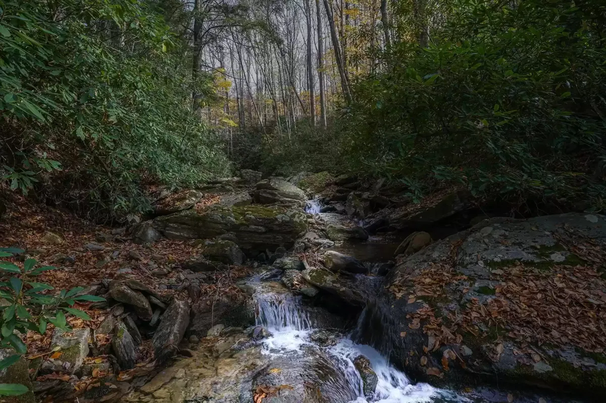 The hero image showcases a tranquil mountain stream winding through smooth rocks and lush green foliage, set against the serene backdrop of Yonahlossee's natural beauty. Sunlight filters through the trees, creating a peaceful and inviting atmosphere perfect for unwinding and connecting with nature.